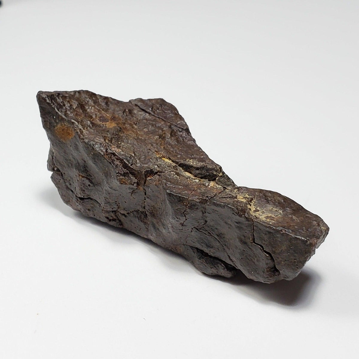  Dhofar 020 Meteorite | 82.14 Grams | Individual | H4-5 Shocked Chondrite | Sahara | Y2K 6