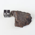  Dhofar 221 Meteorite | 16.73 Grams | Individual | L5 Shocked Chondrite | Sahara 