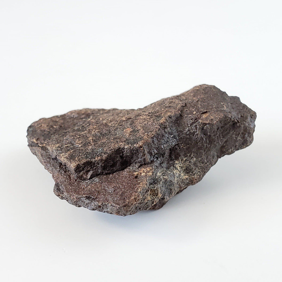  Dhofar 221 Meteorite | 16.73 Grams | Individual | L5 Shocked Chondrite | Sahara 2