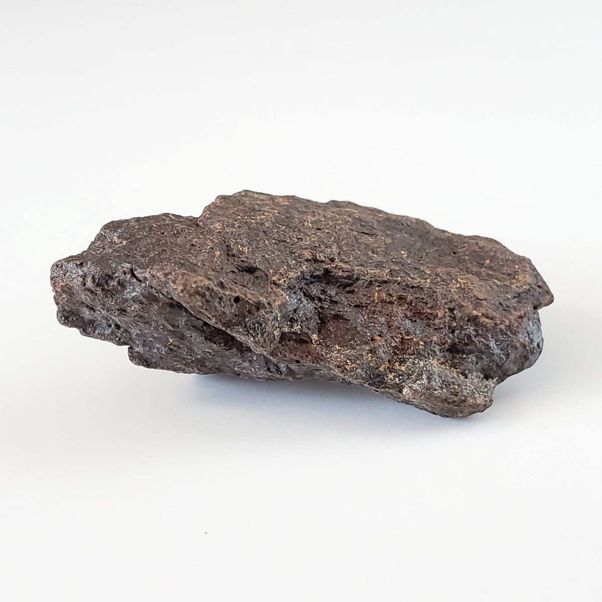  Dhofar 221 Meteorite | 16.73 Grams | Individual | L5 Shocked Chondrite | Sahara 3