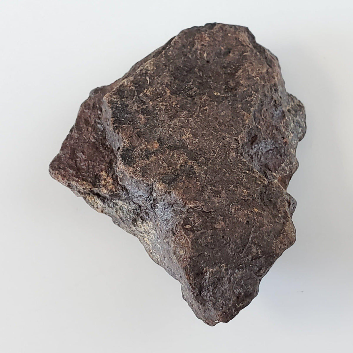  Dhofar 221 Meteorite | 16.73 Grams | Individual | L5 Shocked Chondrite | Sahara 4