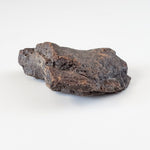  Dhofar 221 Meteorite | 16.73 Grams | Individual | L5 Shocked Chondrite | Sahara 5