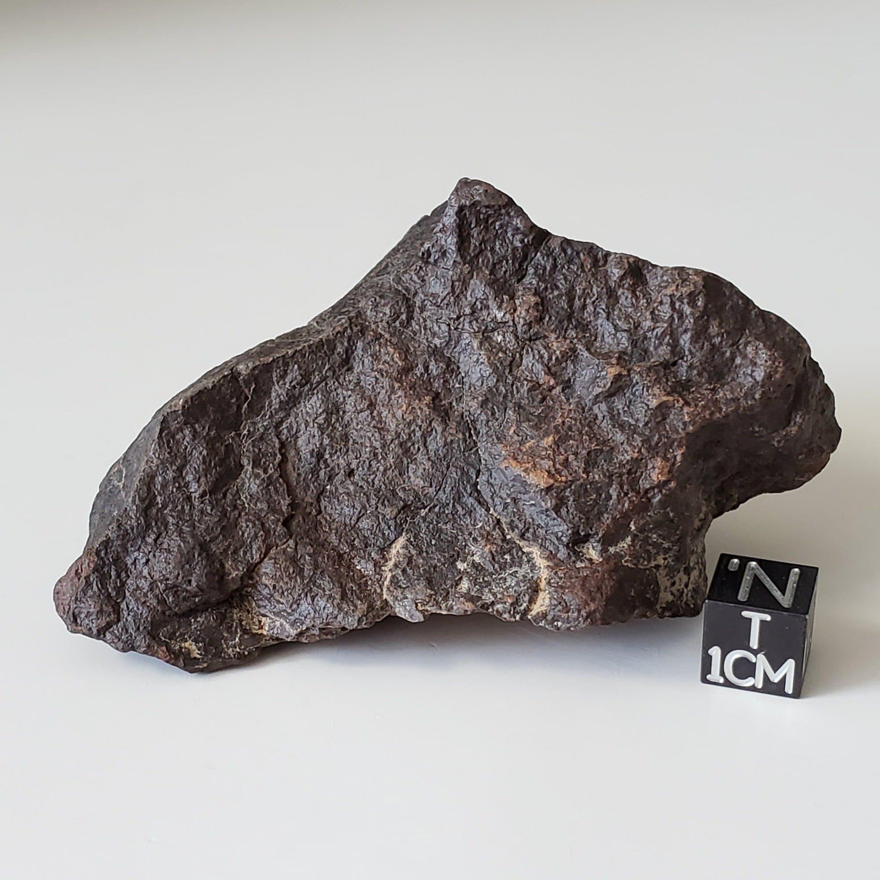  Dhofar 221 Meteorite | 168.8 Grams | Individual | L5 Shocked Chondrite | Sahara 