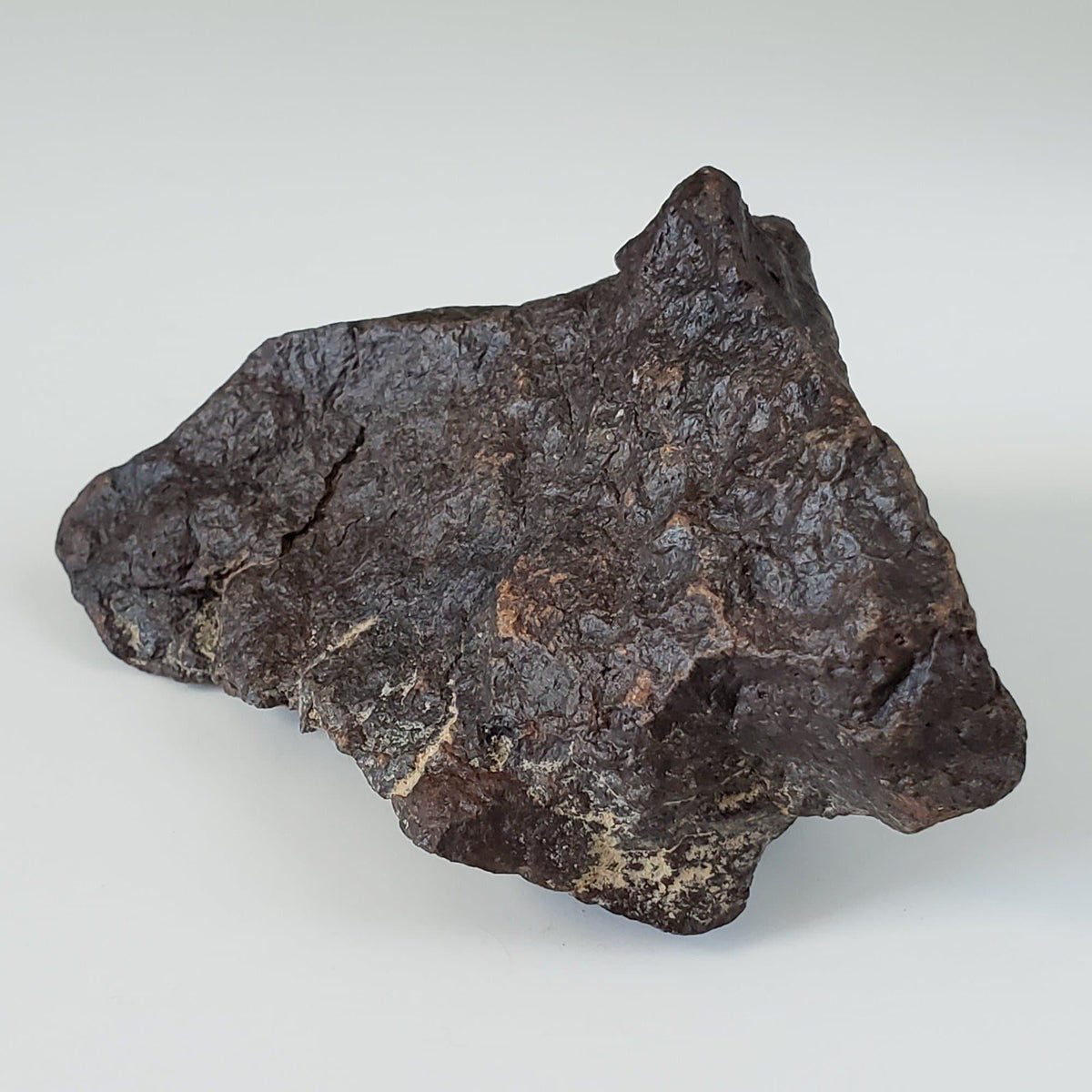  Dhofar 221 Meteorite | 168.8 Grams | Individual | L5 Shocked Chondrite | Sahara 1