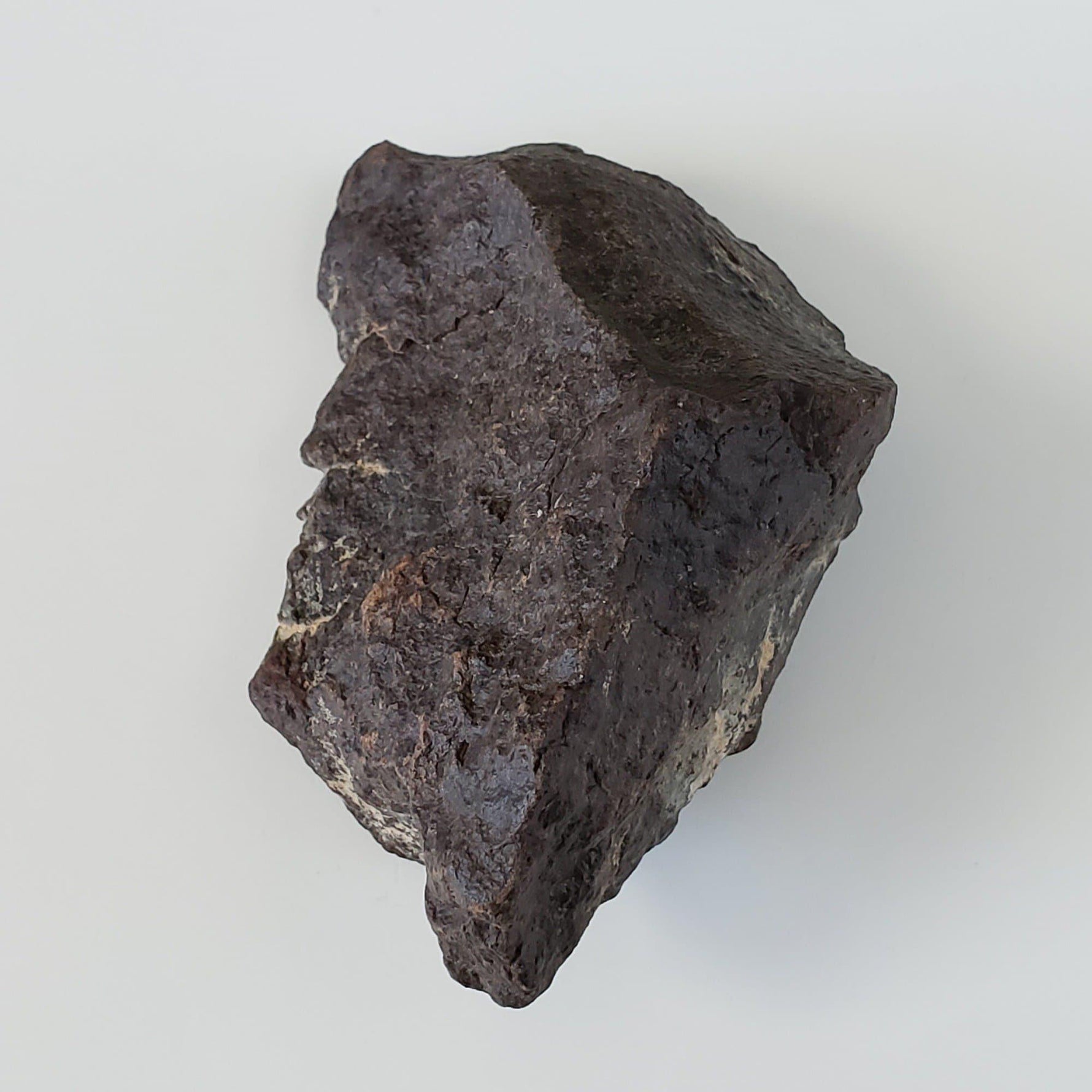  Dhofar 221 Meteorite | 168.8 Grams | Individual | L5 Shocked Chondrite | Sahara 3