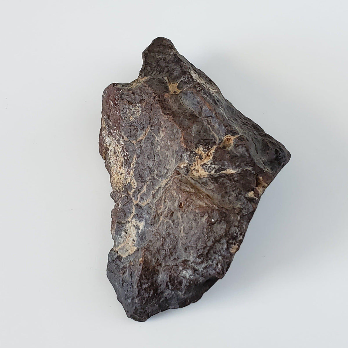  Dhofar 221 Meteorite | 168.8 Grams | Individual | L5 Shocked Chondrite | Sahara 4