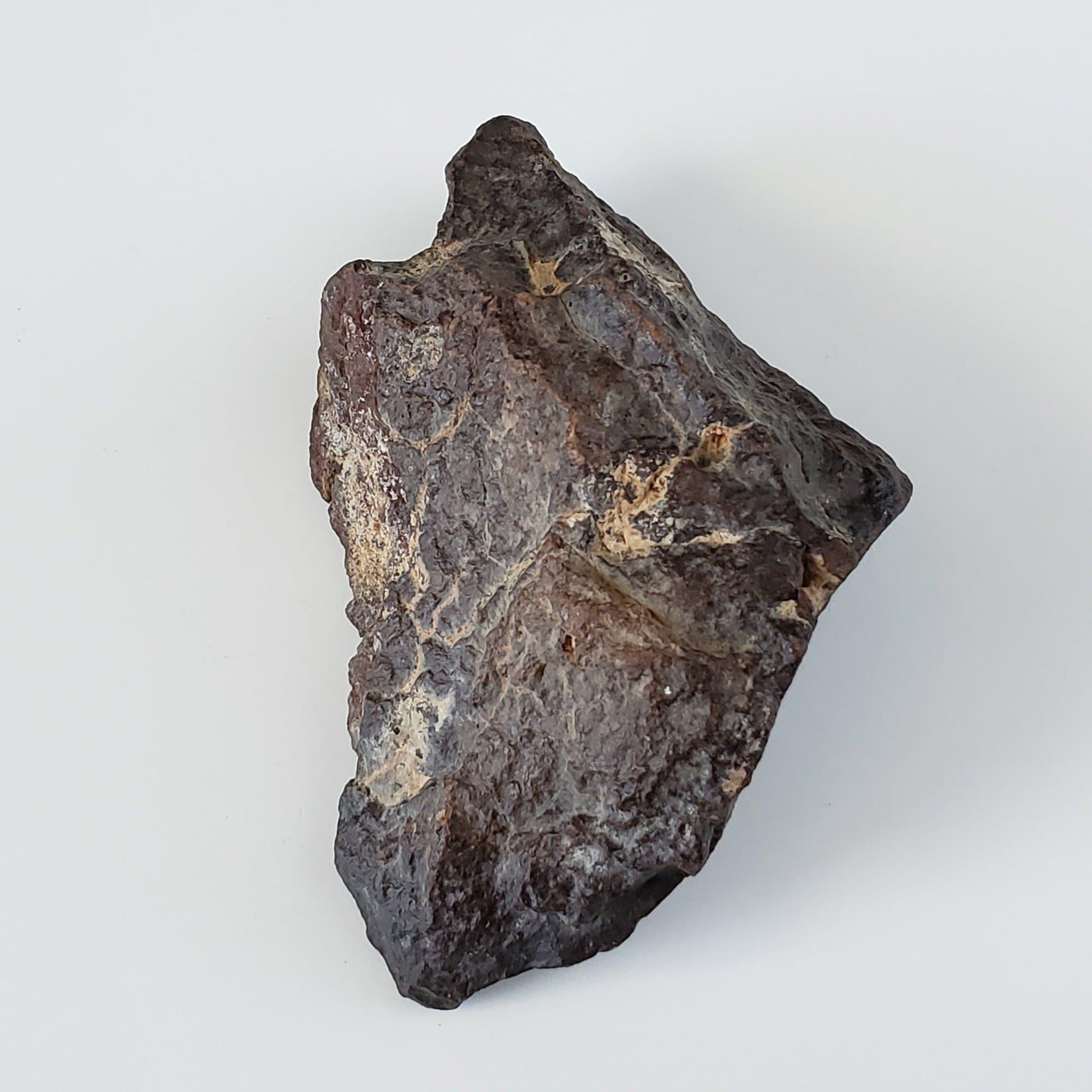  Dhofar 221 Meteorite | 168.8 Grams | Individual | L5 Shocked Chondrite | Sahara 4