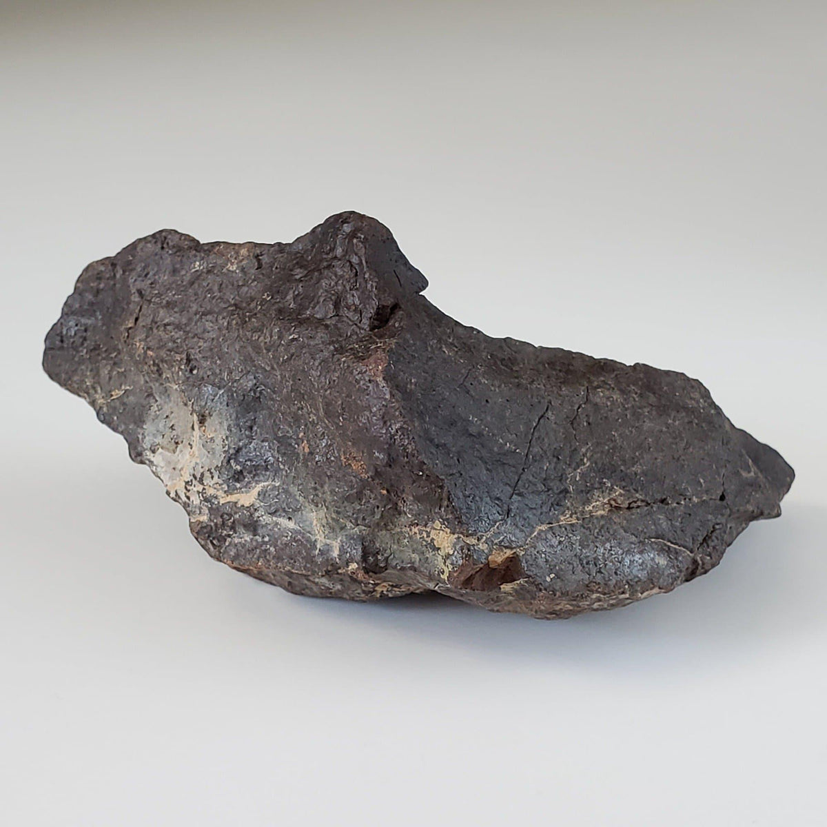  Dhofar 221 Meteorite | 168.8 Grams | Individual | L5 Shocked Chondrite | Sahara 5