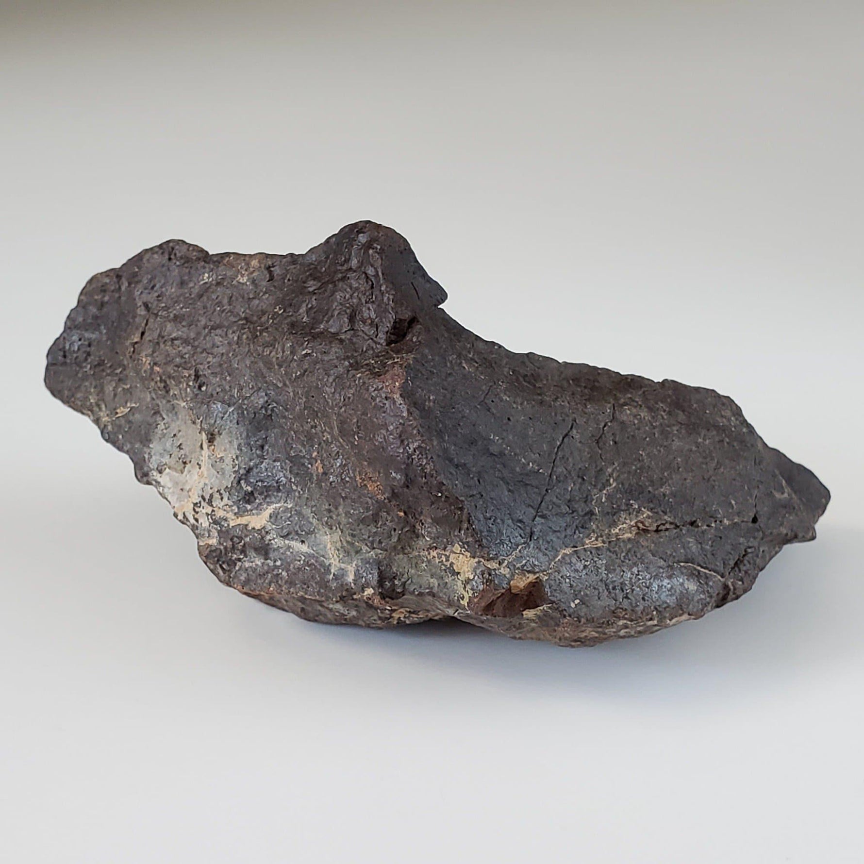  Dhofar 221 Meteorite | 168.8 Grams | Individual | L5 Shocked Chondrite | Sahara 5