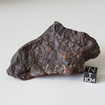  Dhofar 221 Meteorite | 168.8 Grams | Individual | L5 Shocked Chondrite | Sahara 