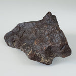  Dhofar 221 Meteorite | 168.8 Grams | Individual | L5 Shocked Chondrite | Sahara 1