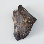  Dhofar 221 Meteorite | 168.8 Grams | Individual | L5 Shocked Chondrite | Sahara 4