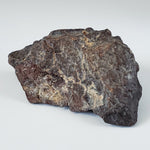  Dhofar 221 Meteorite | 168.8 Grams | Individual | L5 Shocked Chondrite | Sahara 2