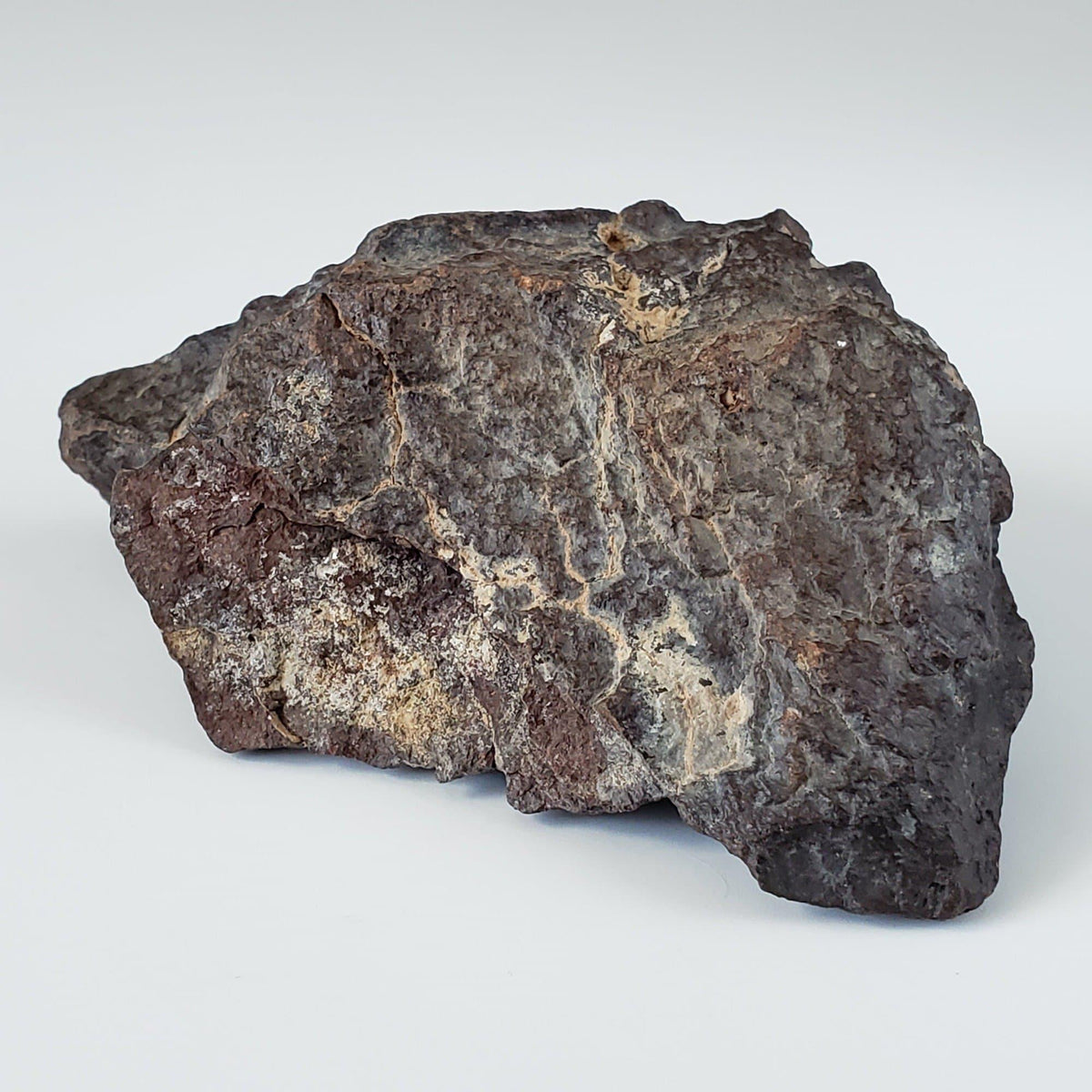 Dhofar 221 Meteorite | 168.8 Grams | Individual | L5 Shocked Chondrite | Sahara 2
