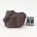  Dhofar 221 Meteorite | 20.87 Grams | Individual | L5 Shocked Chondrite | Sahara SO24 