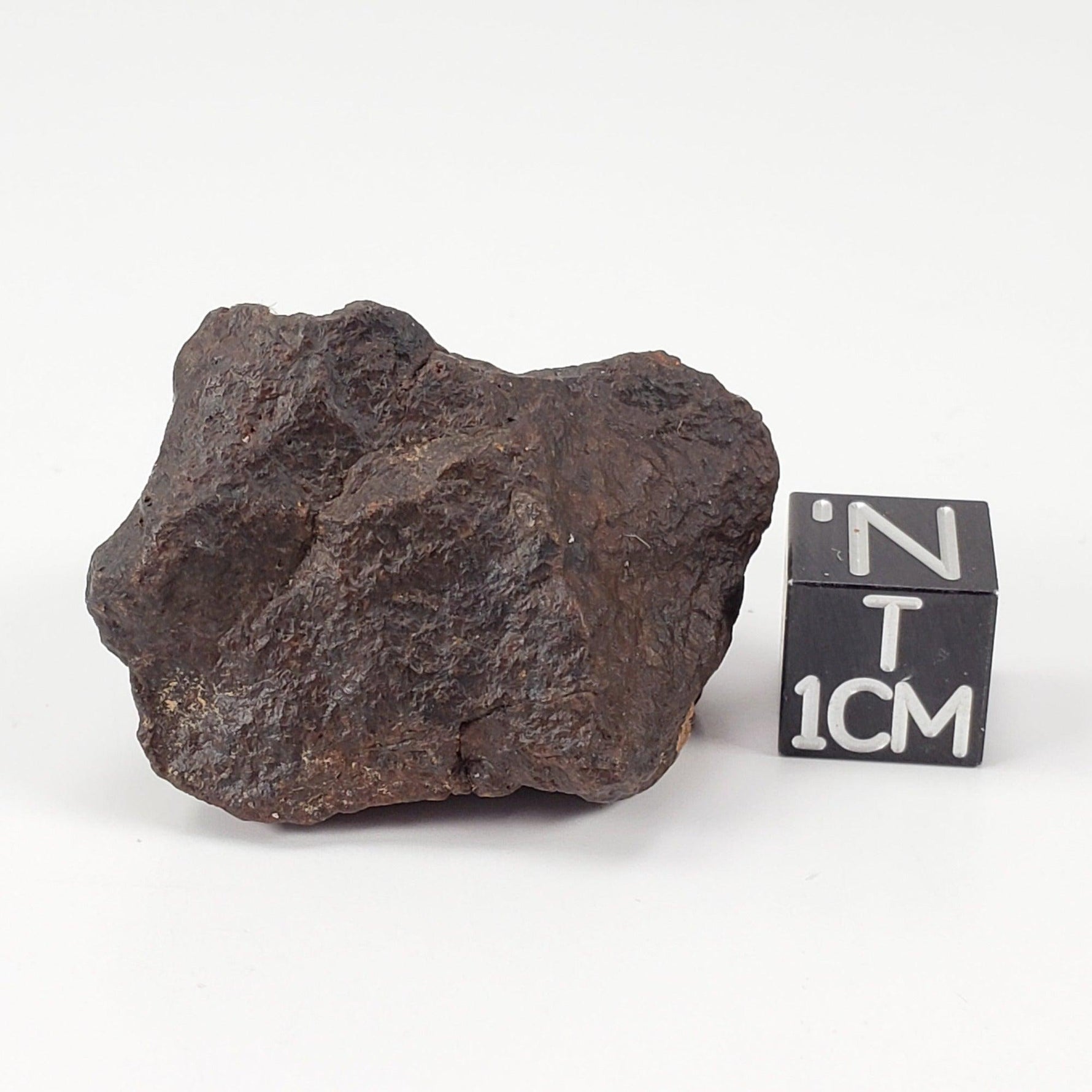  Dhofar 221 Meteorite | 20.87 Grams | Individual | L5 Shocked Chondrite | Sahara SO24 