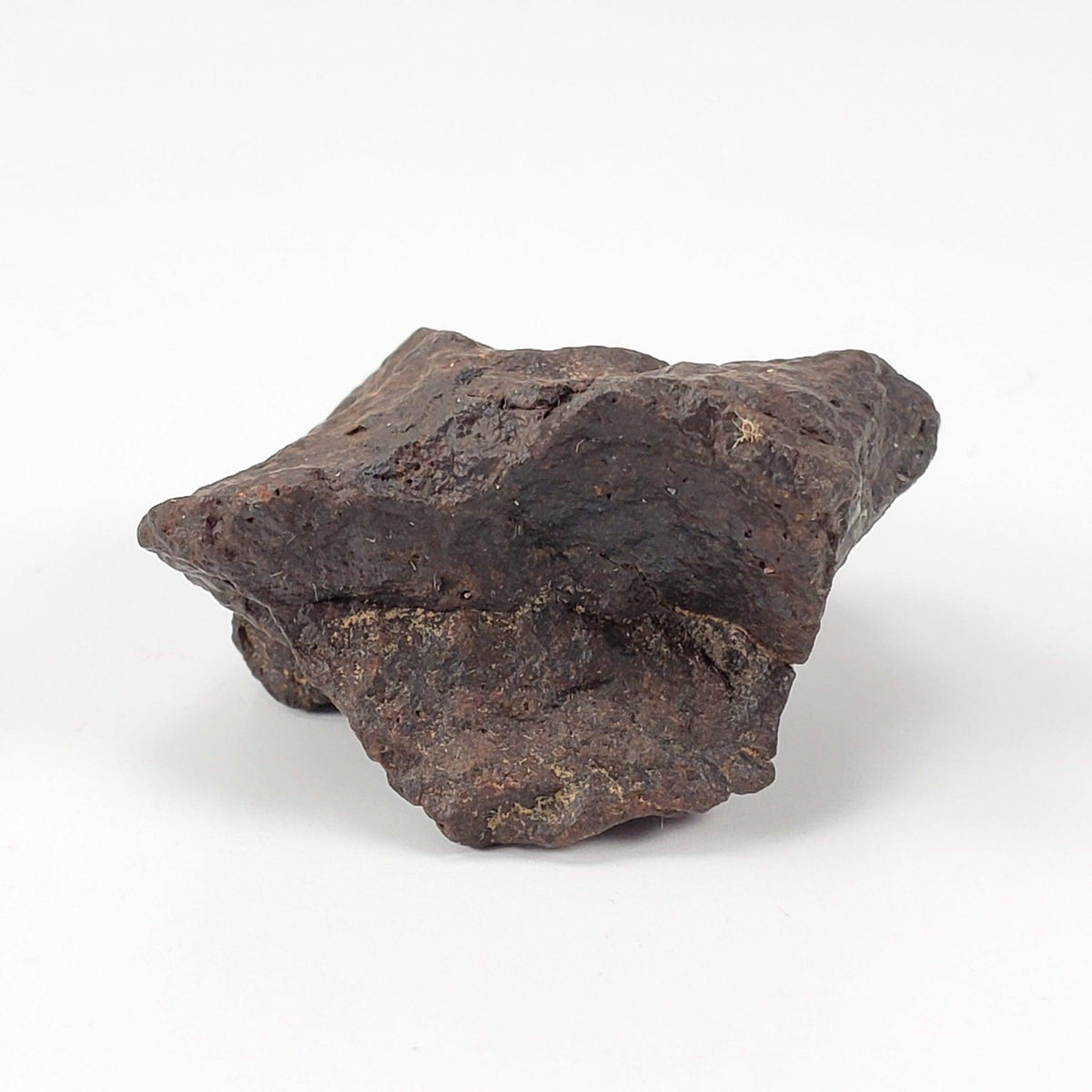  Dhofar 221 Meteorite | 20.87 Grams | Individual | L5 Shocked Chondrite | Sahara SO24 3