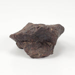  Dhofar 221 Meteorite | 20.87 Grams | Individual | L5 Shocked Chondrite | Sahara SO24 3