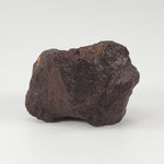  Dhofar 221 Meteorite | 20.87 Grams | Individual | L5 Shocked Chondrite | Sahara SO24 9