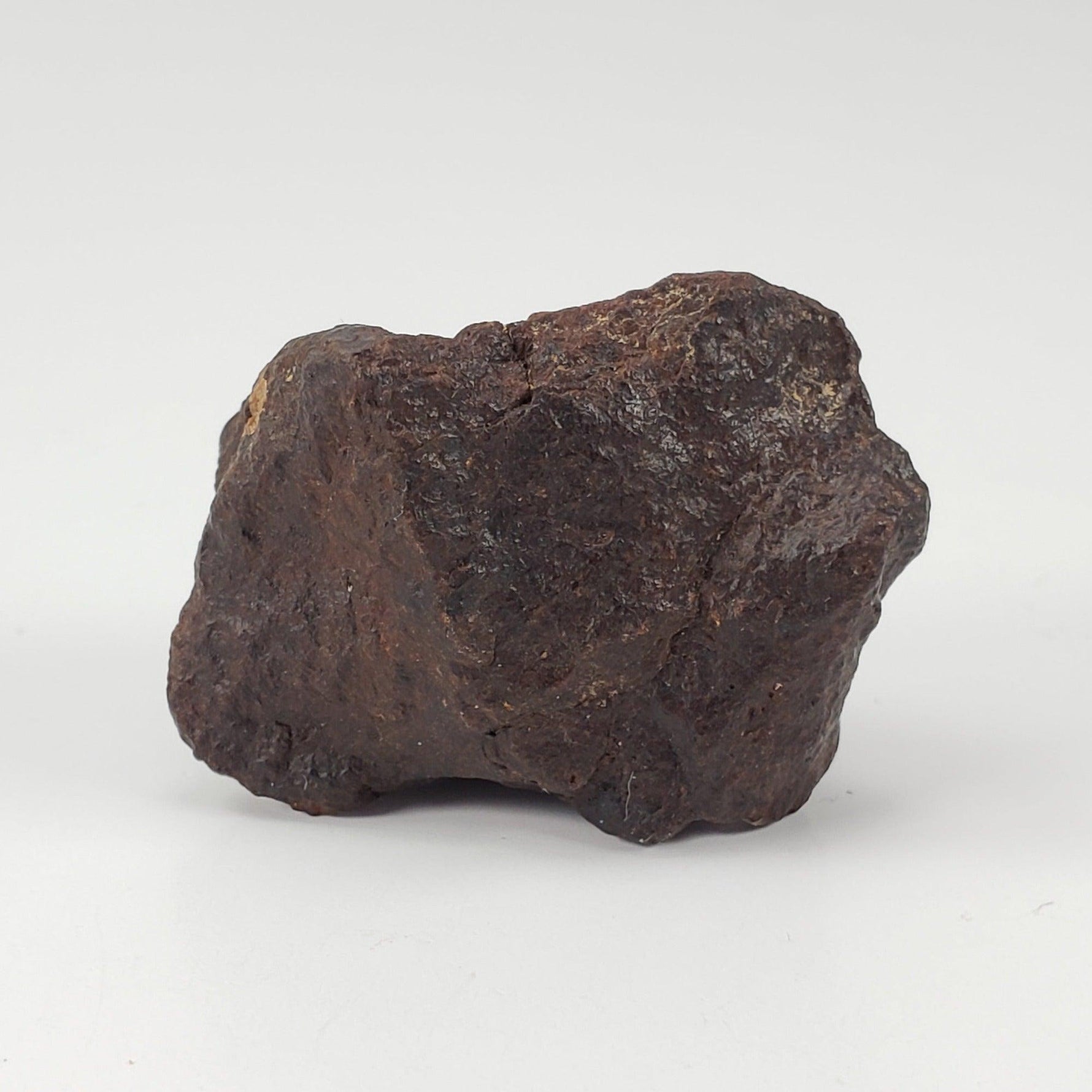  Dhofar 221 Meteorite | 20.87 Grams | Individual | L5 Shocked Chondrite | Sahara SO24 9