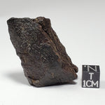  Dhofar 221 Meteorite | 46 Grams | Individual | L5 Shocked Chondrite | Sahara 