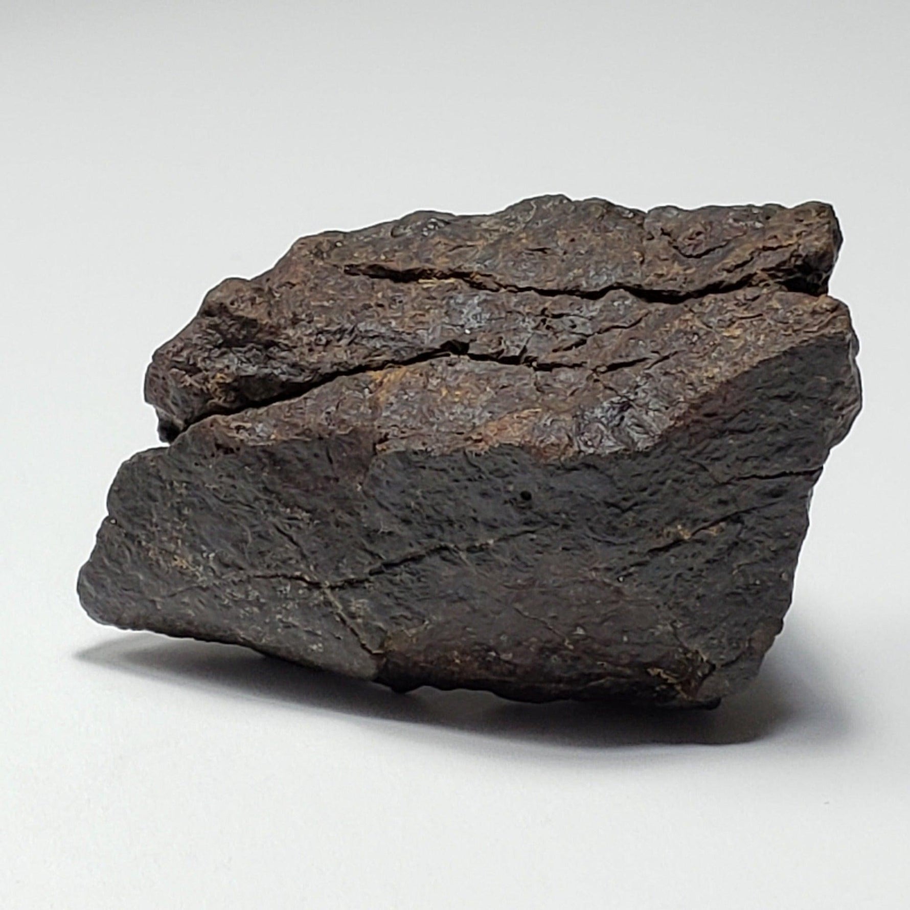  Dhofar 221 Meteorite | 46 Grams | Individual | L5 Shocked Chondrite | Sahara 1