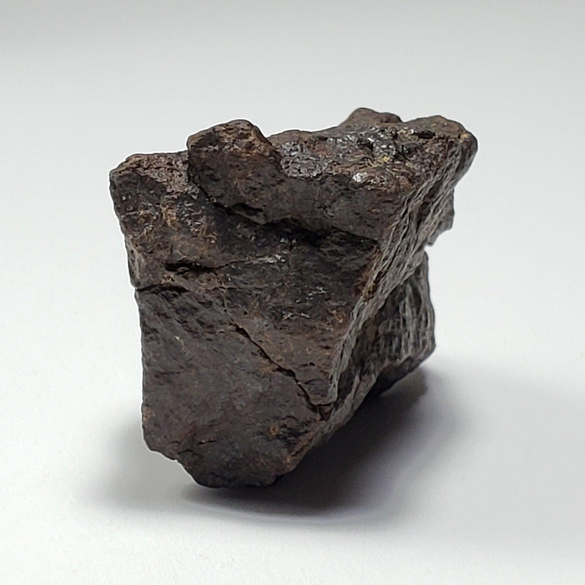  Dhofar 221 Meteorite | 46 Grams | Individual | L5 Shocked Chondrite | Sahara 2