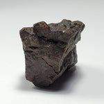  Dhofar 221 Meteorite | 46 Grams | Individual | L5 Shocked Chondrite | Sahara 2