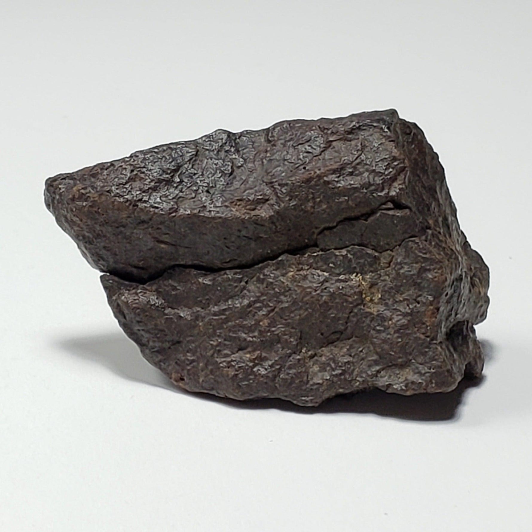  Dhofar 221 Meteorite | 46 Grams | Individual | L5 Shocked Chondrite | Sahara 3