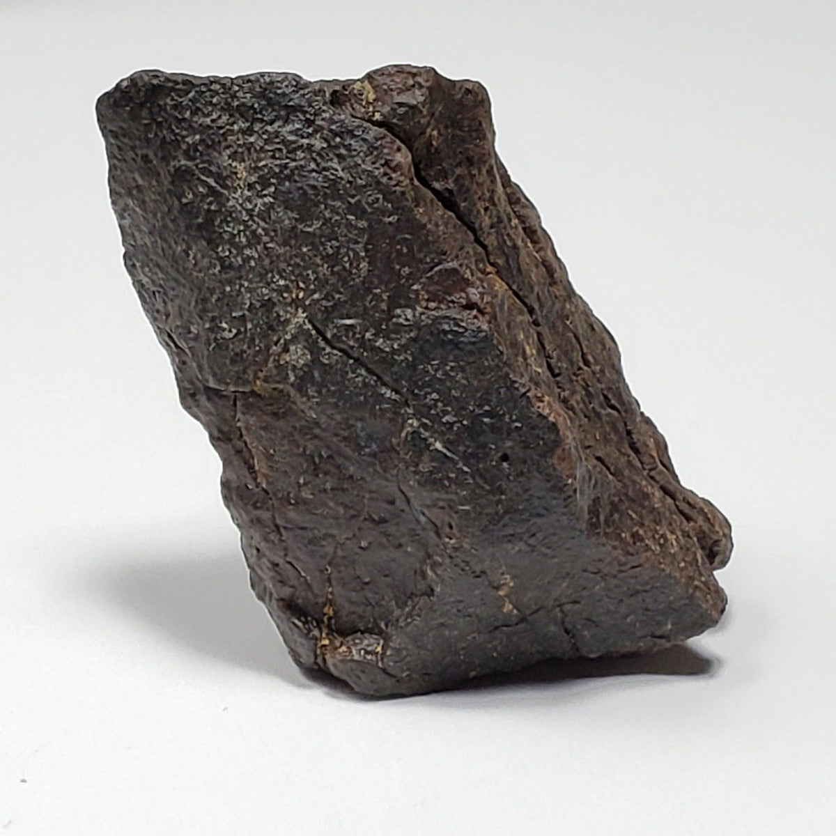  Dhofar 221 Meteorite | 46 Grams | Individual | L5 Shocked Chondrite | Sahara 4