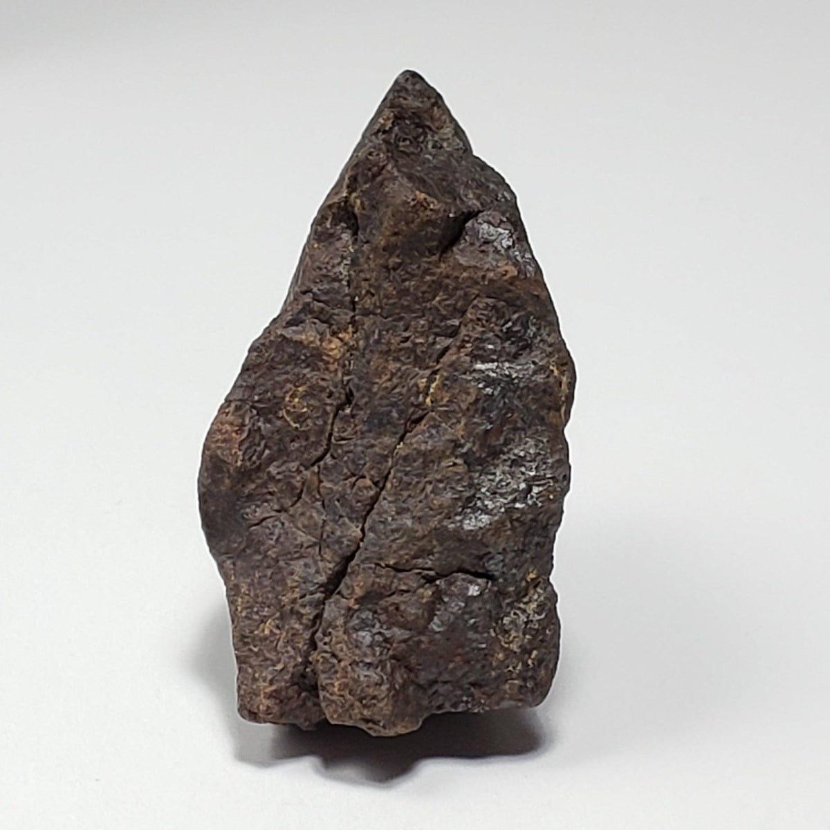  Dhofar 221 Meteorite | 46 Grams | Individual | L5 Shocked Chondrite | Sahara 5