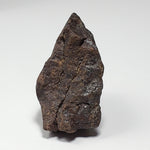 Dhofar 221 Meteorite | 46 Grams | Individual | L5 Shocked Chondrite | Sahara 5