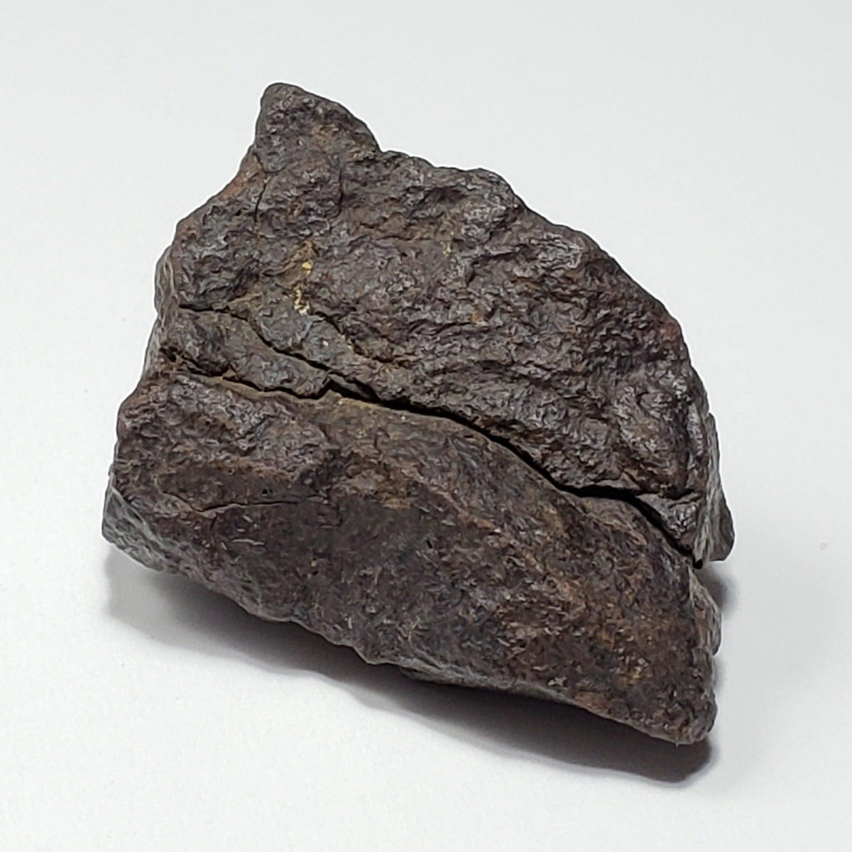  Dhofar 221 Meteorite | 46 Grams | Individual | L5 Shocked Chondrite | Sahara 6