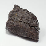  Dhofar 221 Meteorite | 46 Grams | Individual | L5 Shocked Chondrite | Sahara 6
