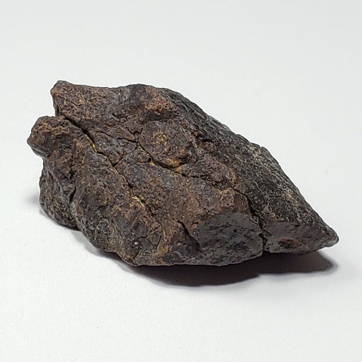  Dhofar 221 Meteorite | 46 Grams | Individual | L5 Shocked Chondrite | Sahara 7