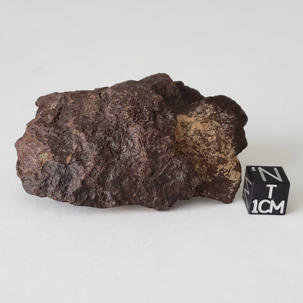 Dhofar 221 Meteorite | 63.52 Grams | Individual | Shocked Chondrite L5 | Sahara 