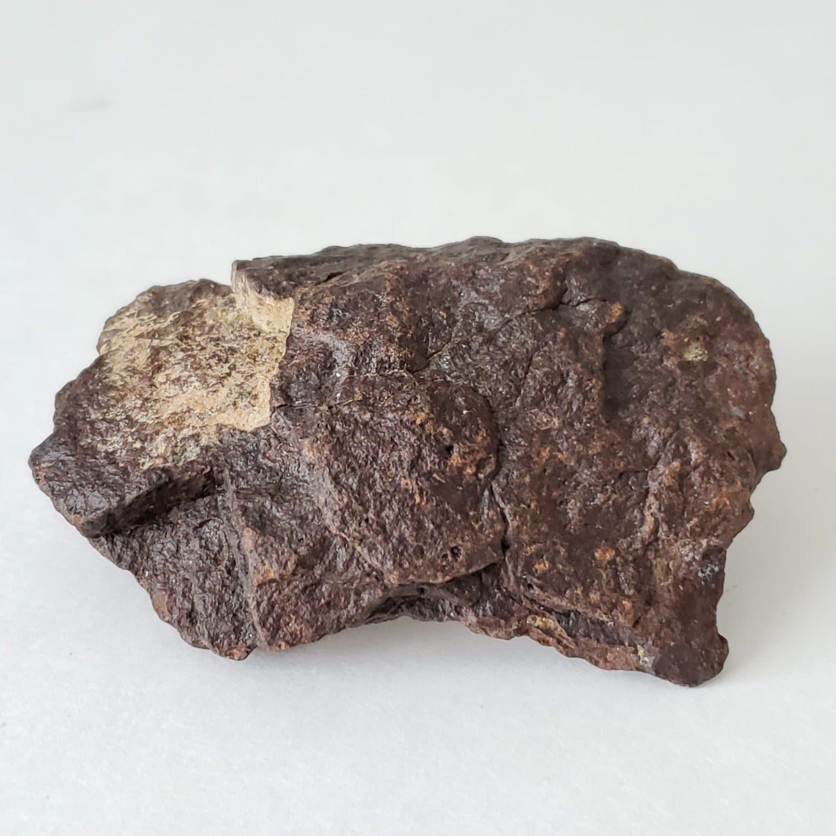  Dhofar 221 Meteorite | 63.52 Grams | Individual | Shocked Chondrite L5 | Sahara 1