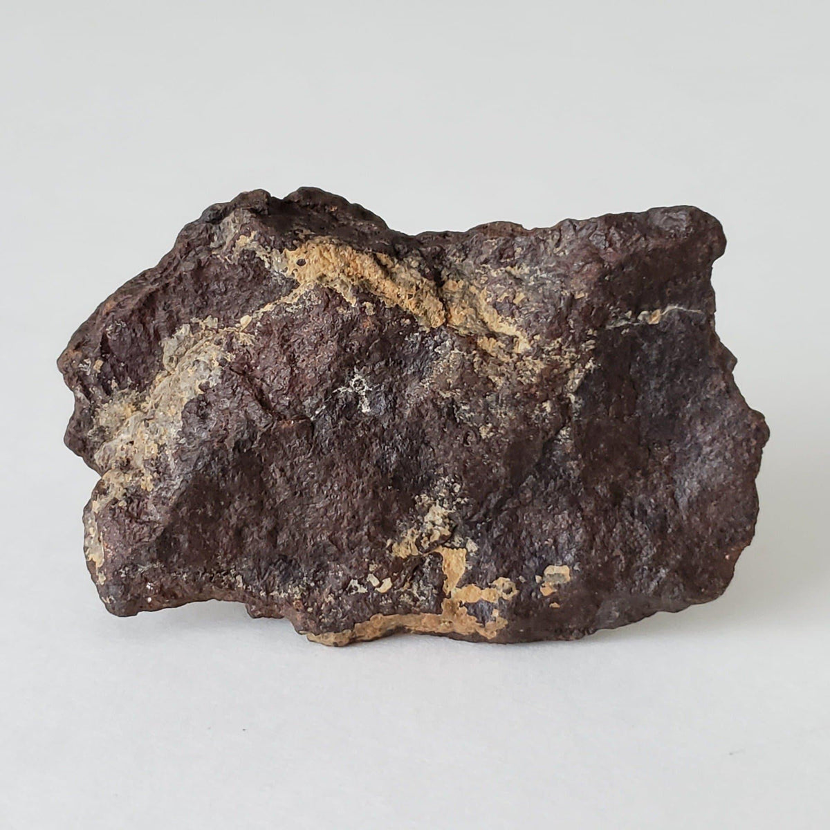  Dhofar 221 Meteorite | 63.52 Grams | Individual | Shocked Chondrite L5 | Sahara 2