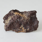  Dhofar 221 Meteorite | 63.52 Grams | Individual | Shocked Chondrite L5 | Sahara 2