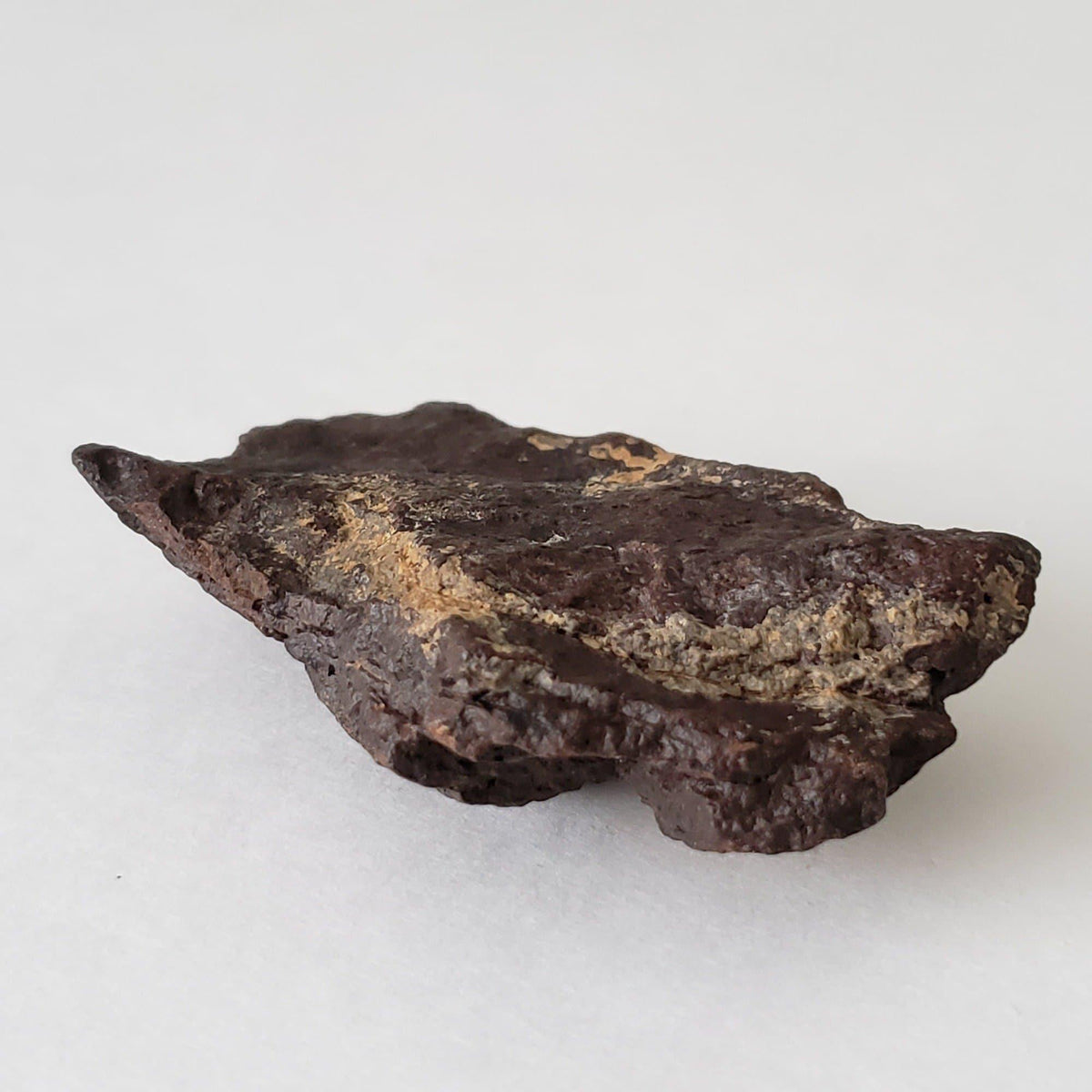 Dhofar 221 Meteorite | 63.52 Grams | Individual | Shocked Chondrite L5 | Sahara 3