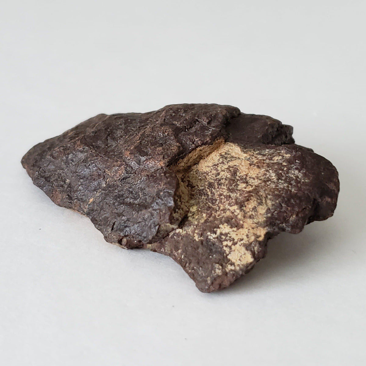  Dhofar 221 Meteorite | 63.52 Grams | Individual | Shocked Chondrite L5 | Sahara 4