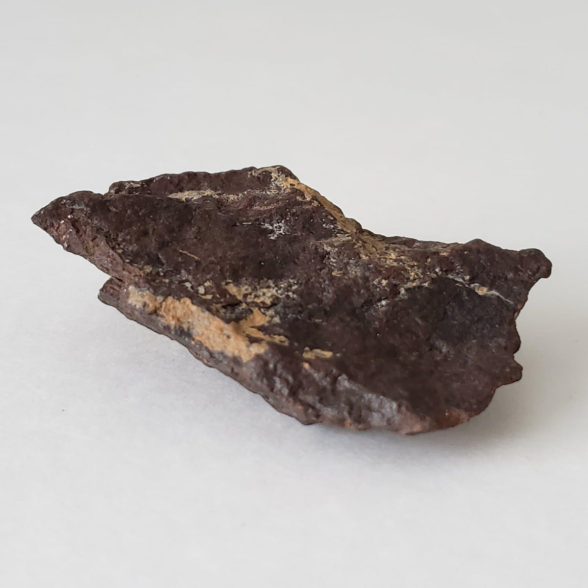  Dhofar 221 Meteorite | 63.52 Grams | Individual | Shocked Chondrite L5 | Sahara 5