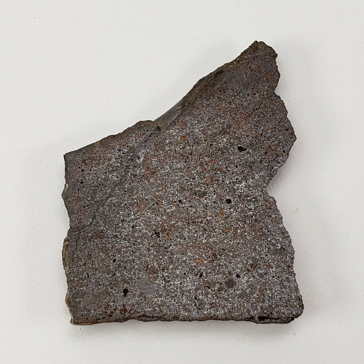  Dhofar 224 Meteorite | 13.2 Grams | Slice | Rare H4 Chondrite | Sahara | SO24 1