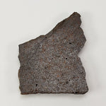  Dhofar 224 Meteorite | 13.2 Grams | Slice | Rare H4 Chondrite | Sahara | SO24 1