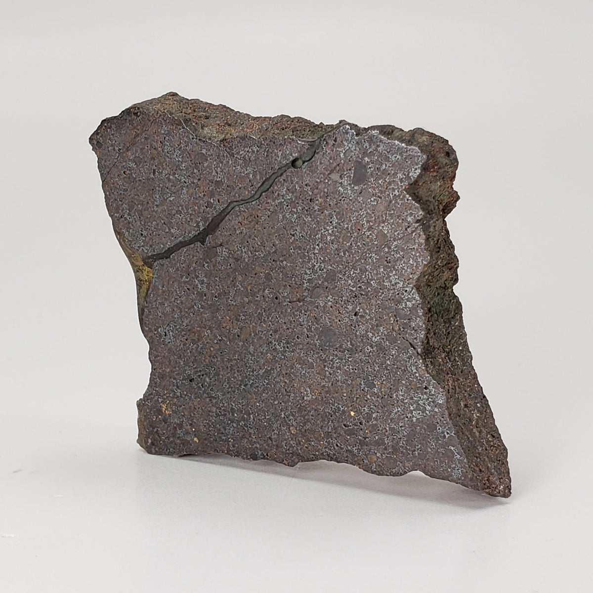  Dhofar 224 Meteorite | 23.2 Grams | Slice | Rare H4 Chondrite | Sahara 2