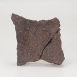  Dhofar 224 Meteorite | 23.2 Grams | Slice | Rare H4 Chondrite | Sahara 4