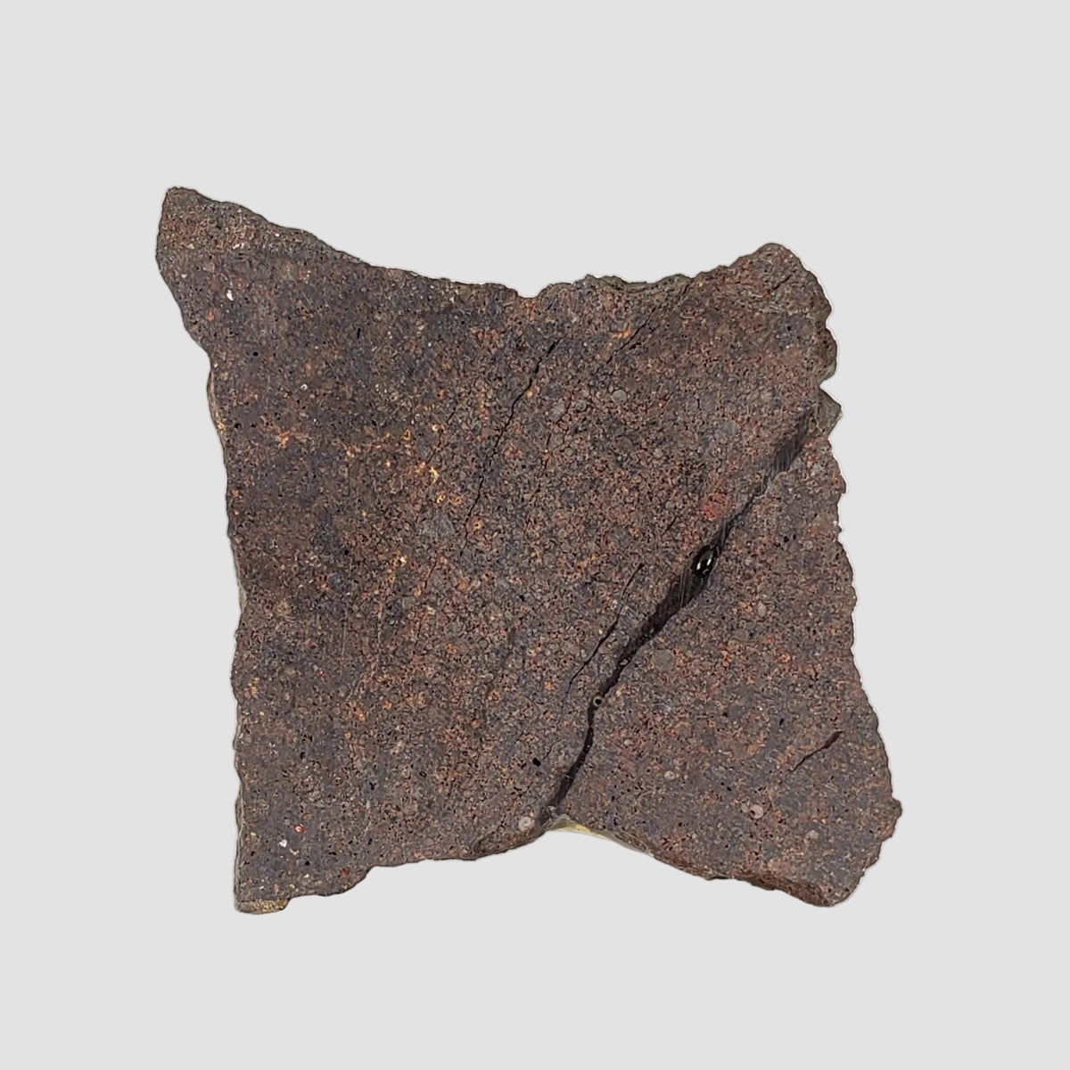  Dhofar 224 Meteorite | 23.2 Grams | Slice | Rare H4 Chondrite | Sahara 4