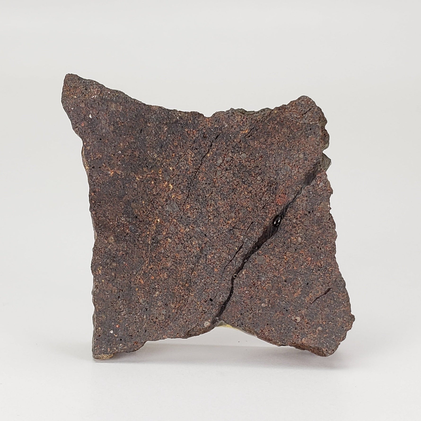  Dhofar 224 Meteorite | 23.2 Grams | Slice | Rare H4 Chondrite | Sahara 4