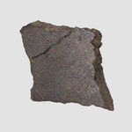  Dhofar 224 Meteorite | 23.2 Grams | Slice | Rare H4 Chondrite | Sahara 2