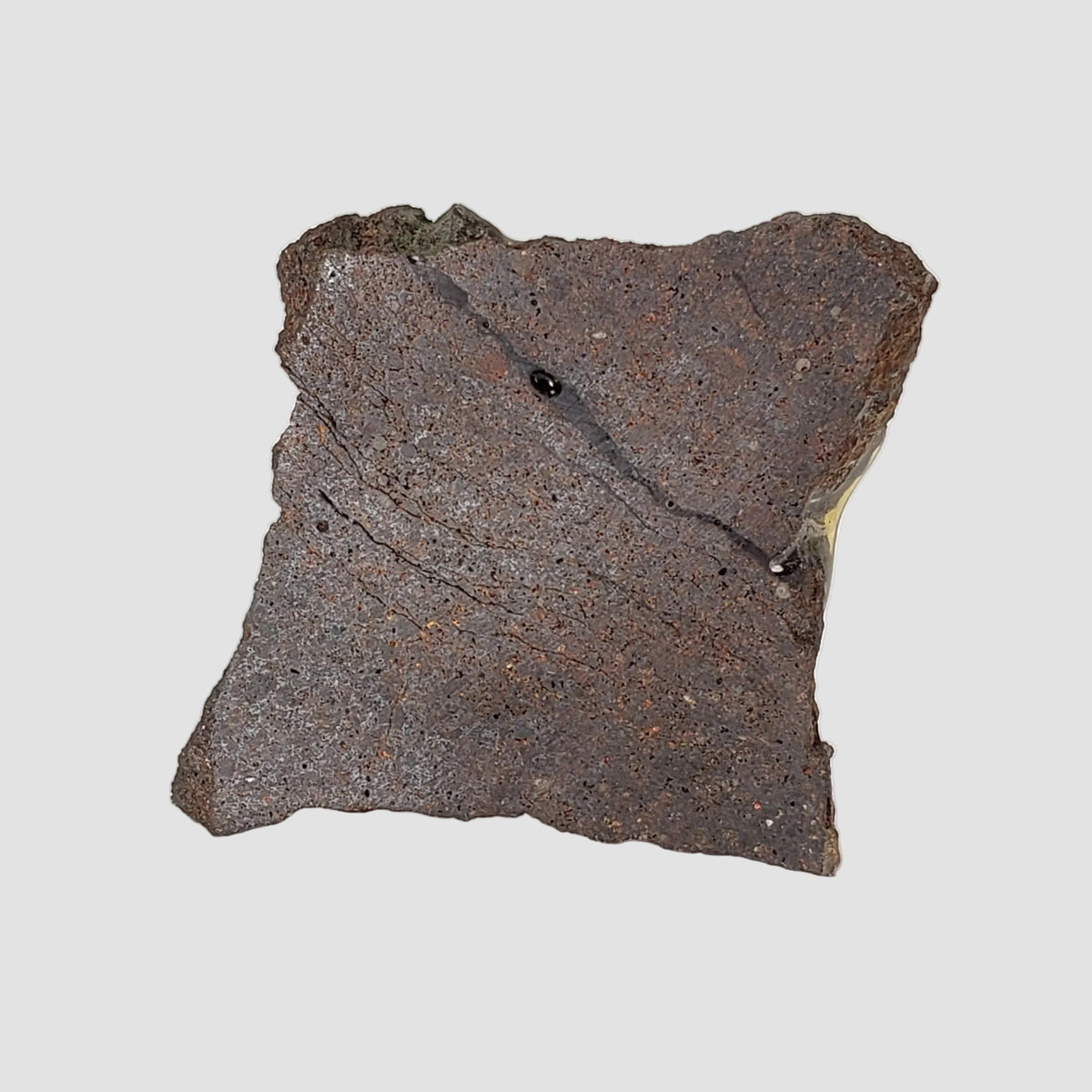  Dhofar 224 Meteorite | 23.2 Grams | Slice | Rare H4 Chondrite | Sahara 3
